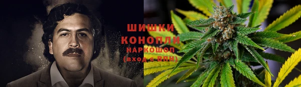 ГАЛЛЮЦИНОГЕННЫЕ ГРИБЫ Богородицк