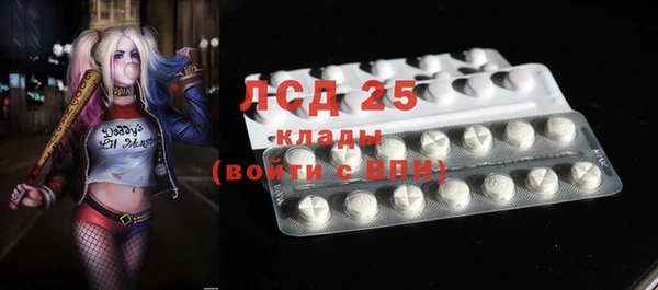 ГАЛЛЮЦИНОГЕННЫЕ ГРИБЫ Богородицк