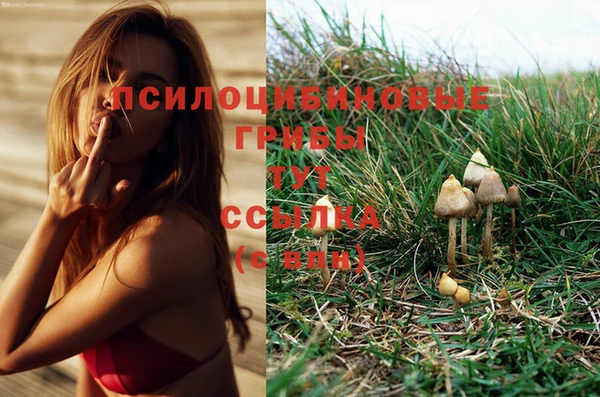 мет Бородино