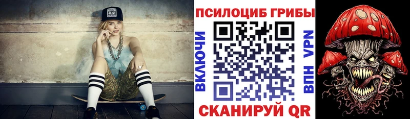 Купить где  Реж  Псилоцибиновые грибы Cubensis 